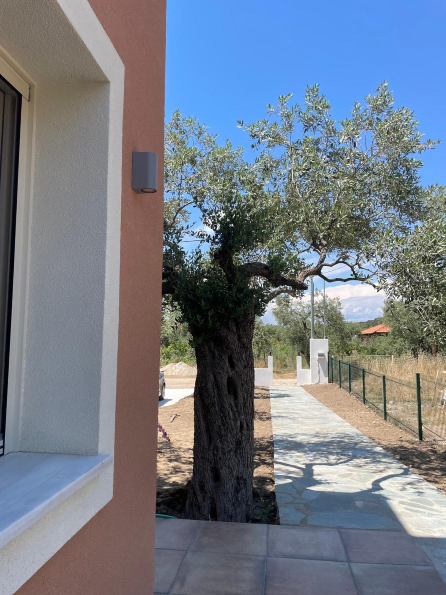 Casa Teresi Thassos Деревянный коттедж